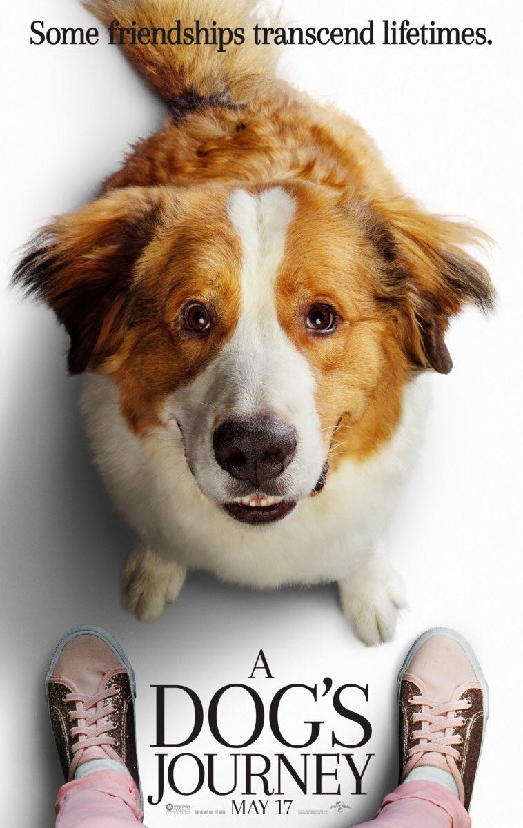 A Dog’s Journey