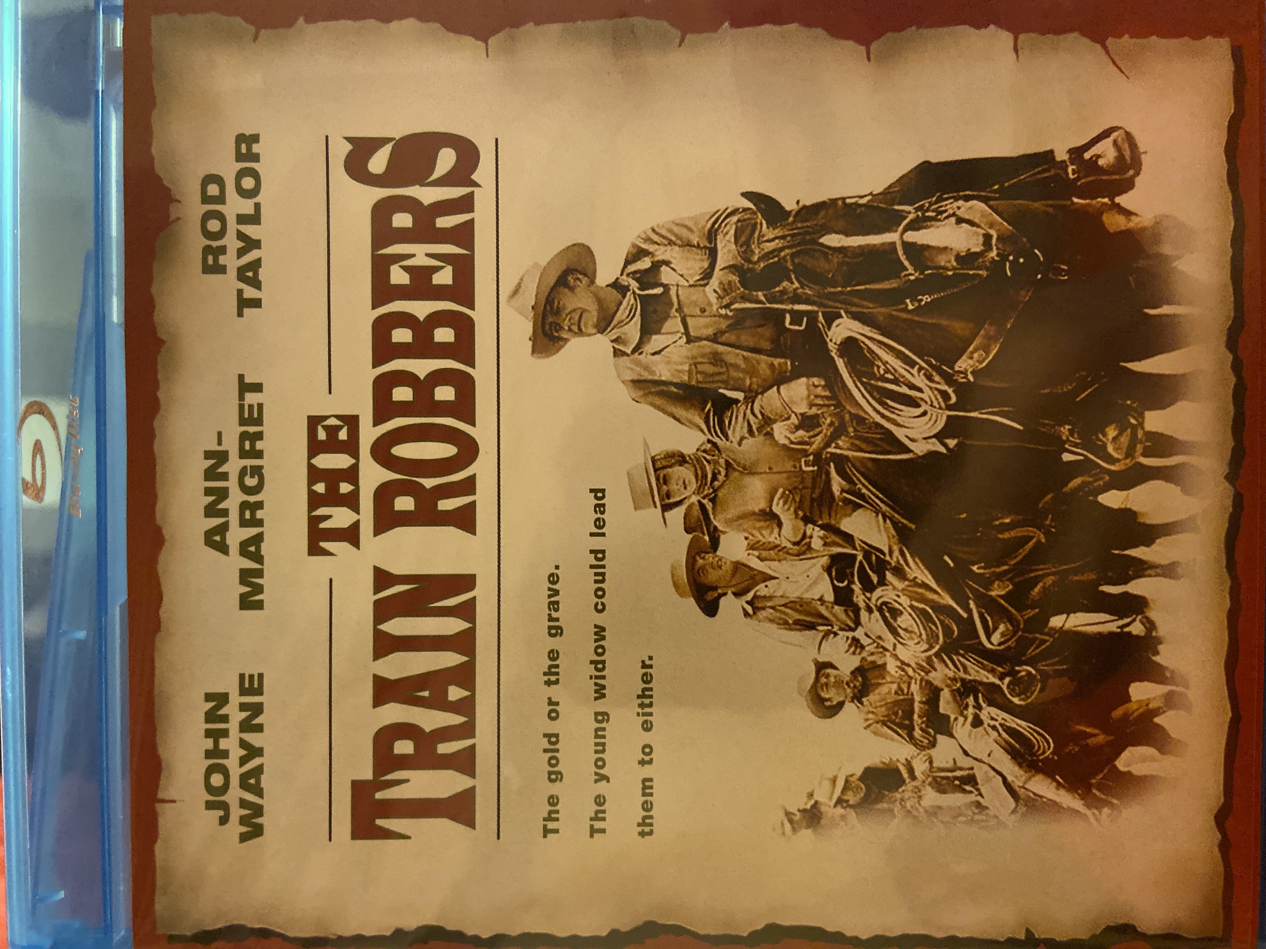 Train Robbers, The
