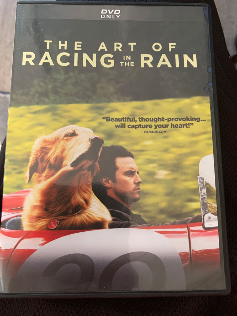 Art Of Racing In The Rain, The