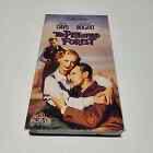 The Petrified Forest