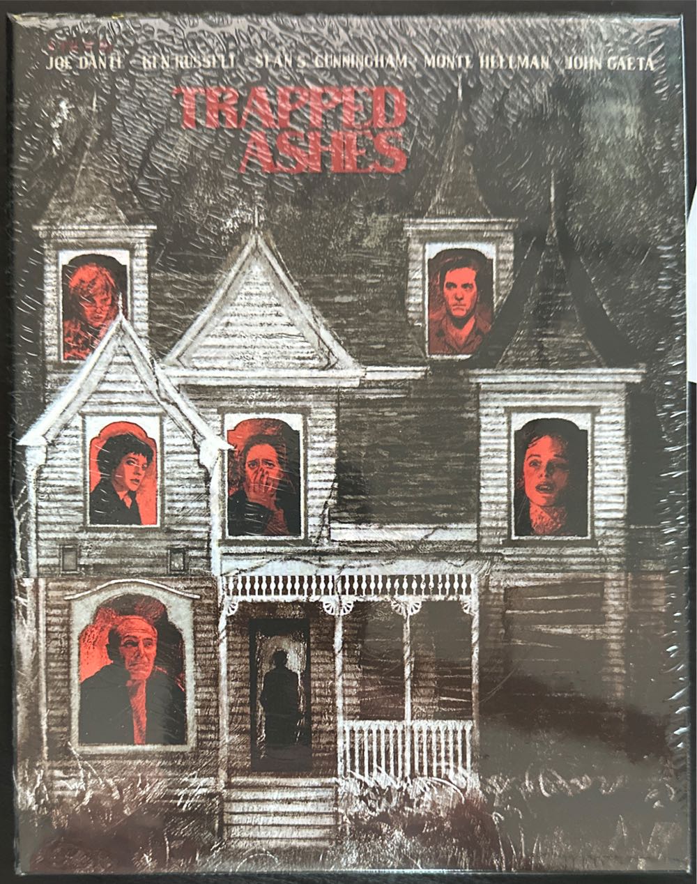 Trapped Ashes