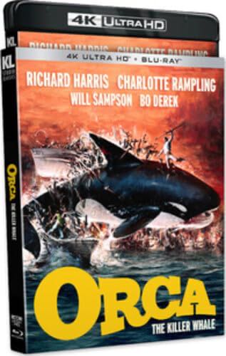 Orca