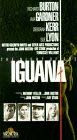 The Night of the Iguana