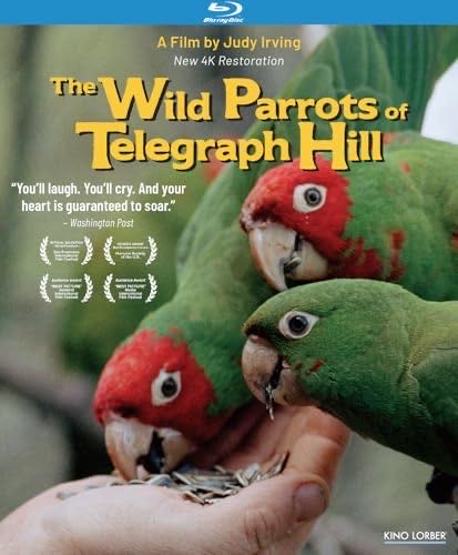 Wild Parrots of Telegraph Hill, The