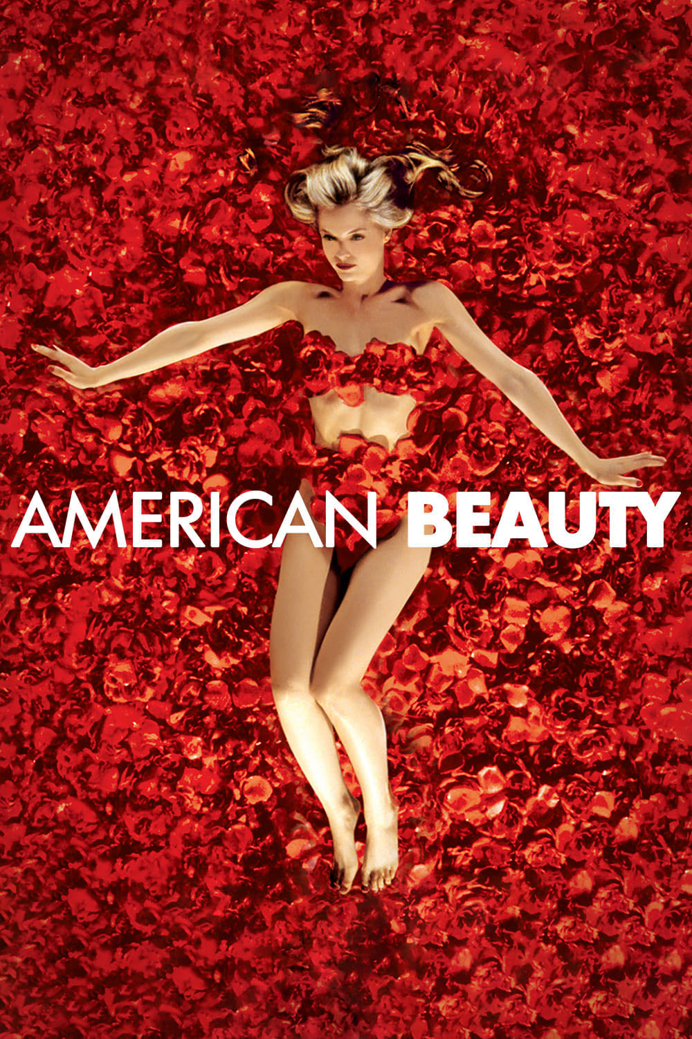 American Beauty Blu-ray movie collectible [Barcode 0097360748048] - Main Image 4