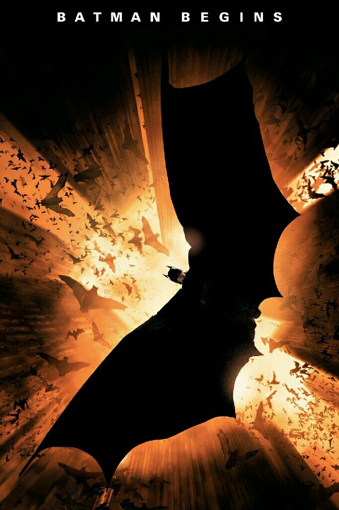 Batman Begins DVD movie collectible - Main Image 2