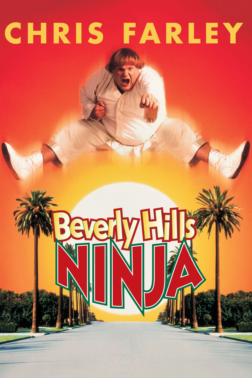 Beverly Hills Ninja DVD movie collectible [Barcode 9317731008948] - Main Image 4