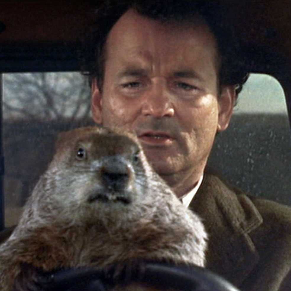 Groundhog Day DVD movie collectible [Barcode 9317731014222] - Main Image 4