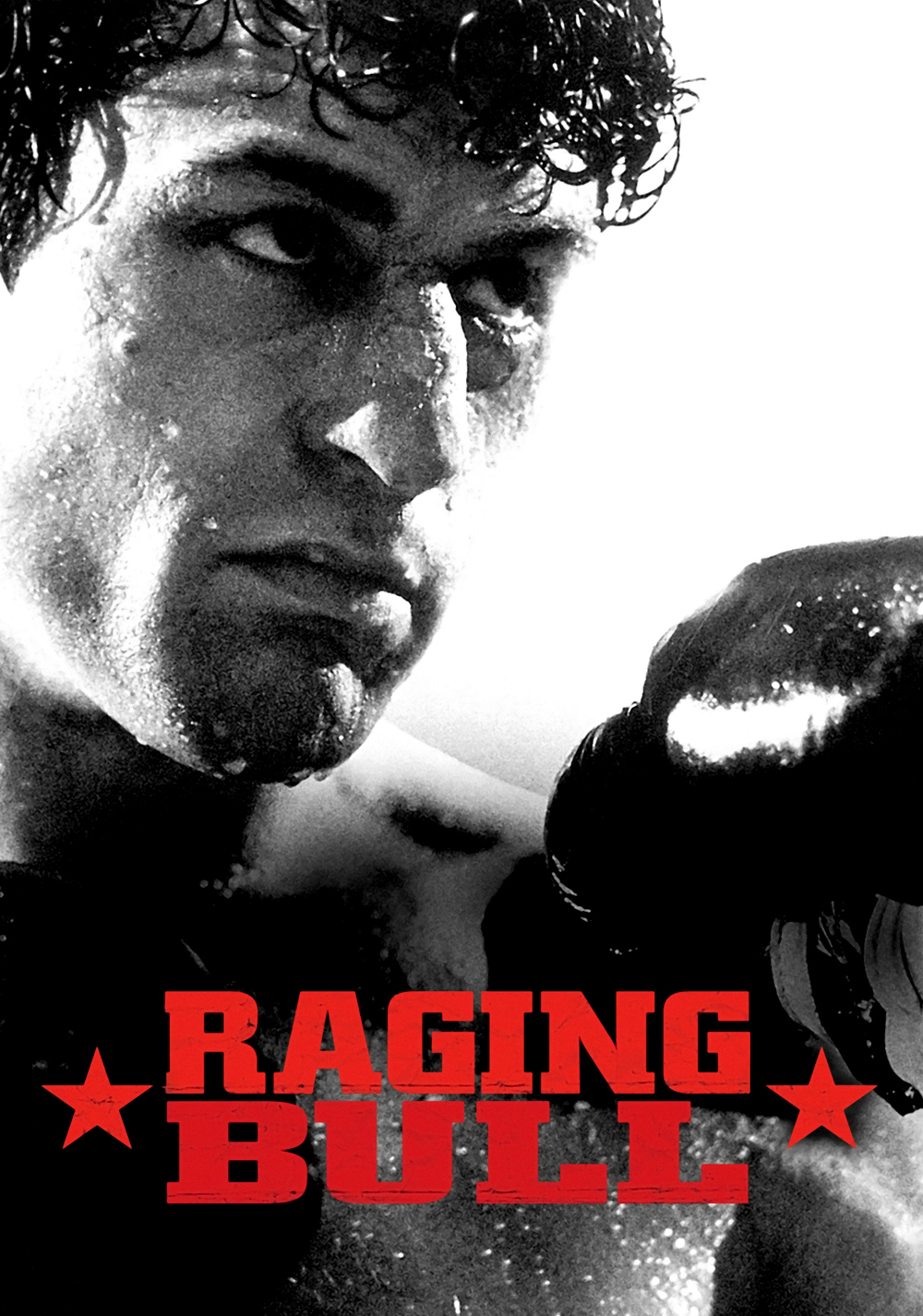 Raging Bull DVD movie collectible [Barcode 36651436] - Main Image 3