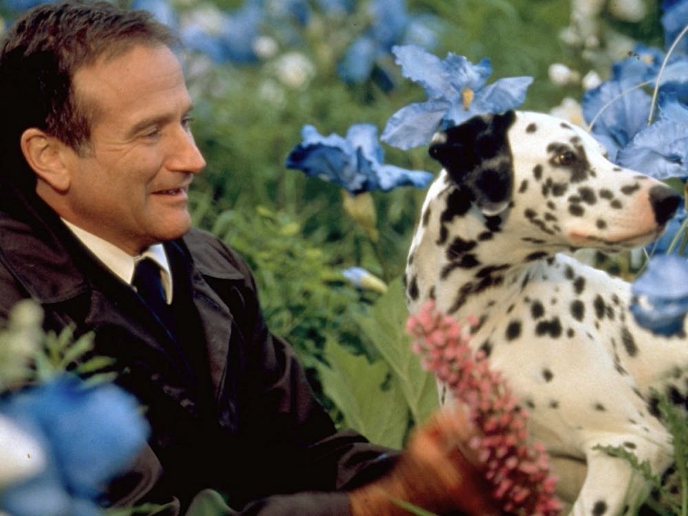 What Dreams May Come Blu-ray movie collectible [Barcode 7501925445035] - Main Image 4