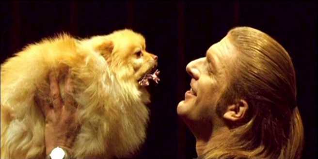 Blade 3 Trinity DVD movie collectible [Barcode 9404378192] - Main Image 2