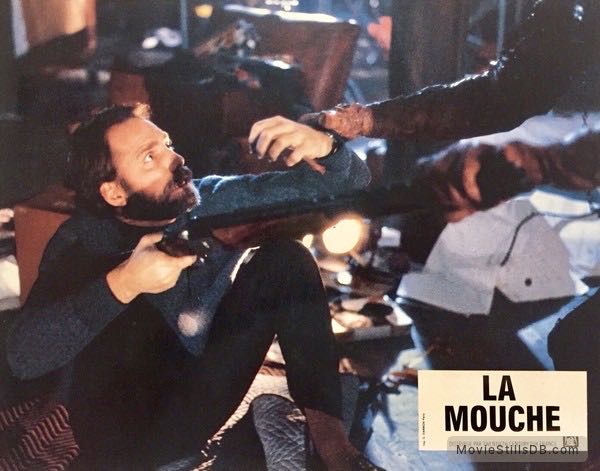 The Fly DVD movie collectible [Barcode 9321337023366] - Main Image 4