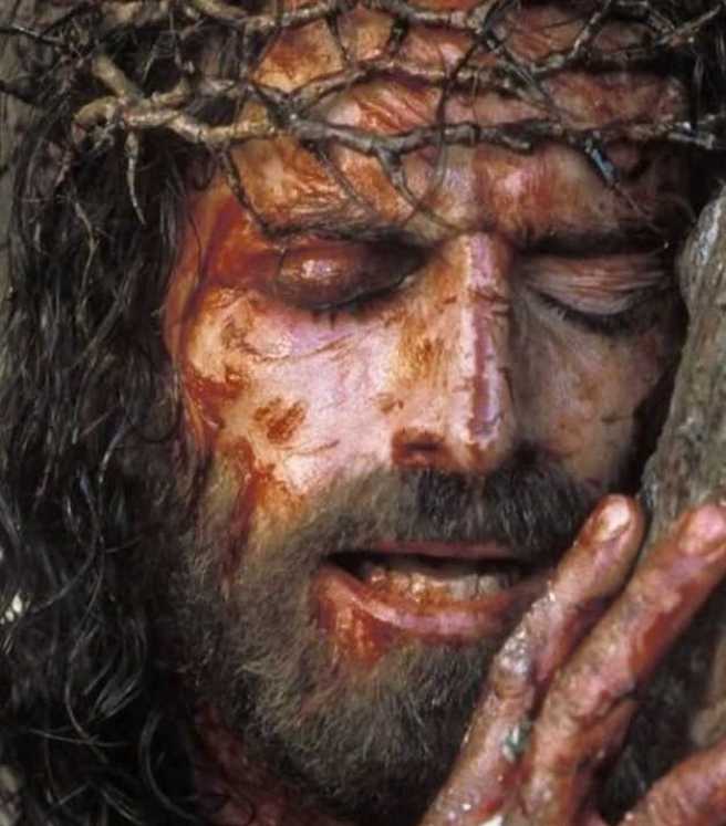 Passion of the Christ, The DVD movie collectible [Barcode 024543854555] - Main Image 3