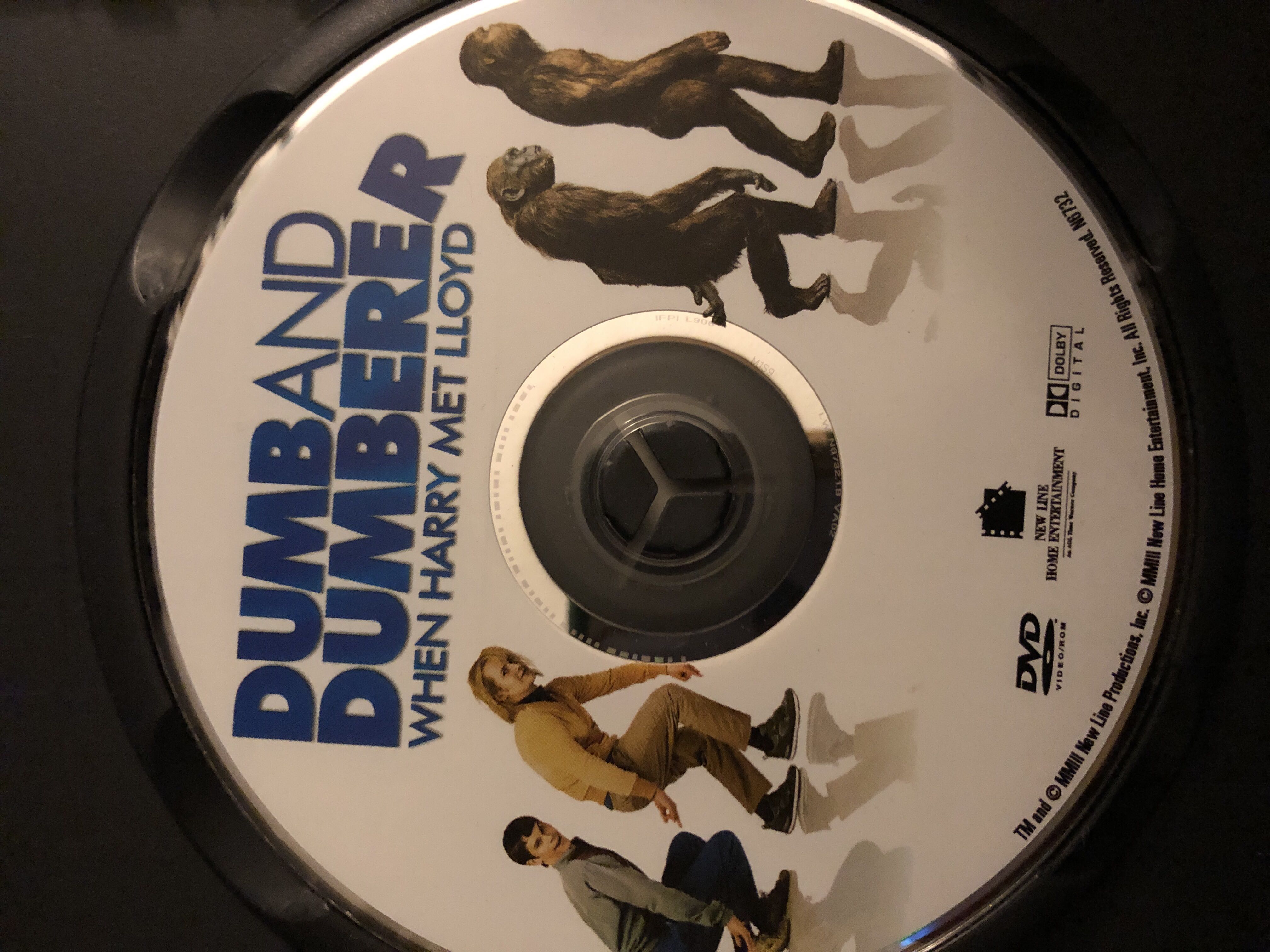 Dumb And Dumberer: When Harry Met Lloyd DVD movie collectible [Barcode 794043673221] - Main Image 4