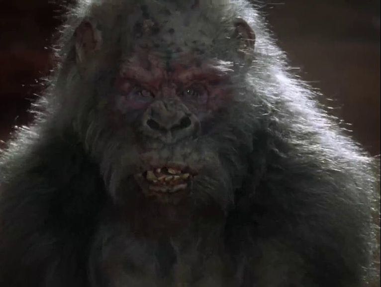 Congo DVD movie collectible [Barcode 032429273451] - Main Image 3