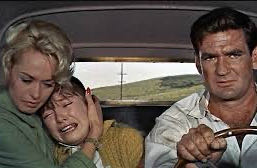 The Birds DVD movie collectible [Barcode 025192027529] - Main Image 10