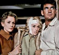 The Birds DVD movie collectible [Barcode 025192027529] - Main Image 7