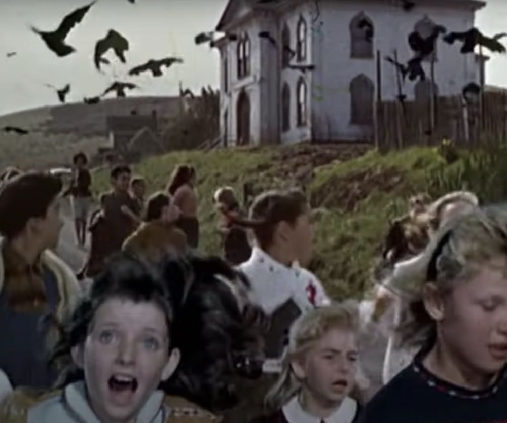 The Birds DVD movie collectible [Barcode 025192027529] - Main Image 8