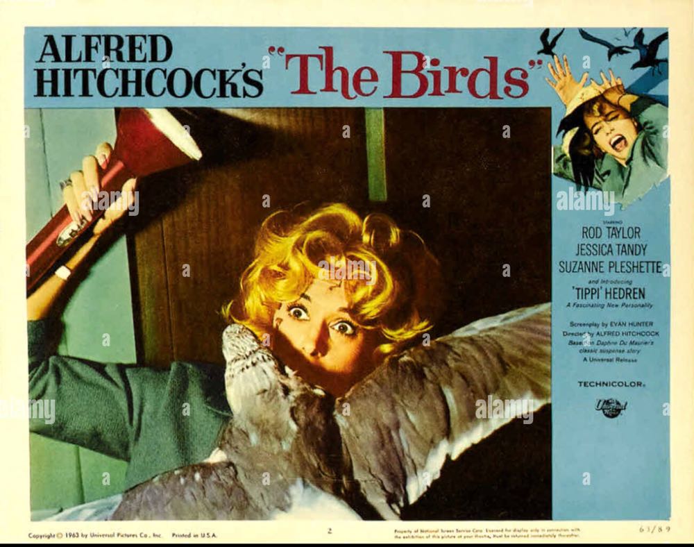 The Birds Blu-ray movie collectible [Barcode 025192235504] - Main Image 3