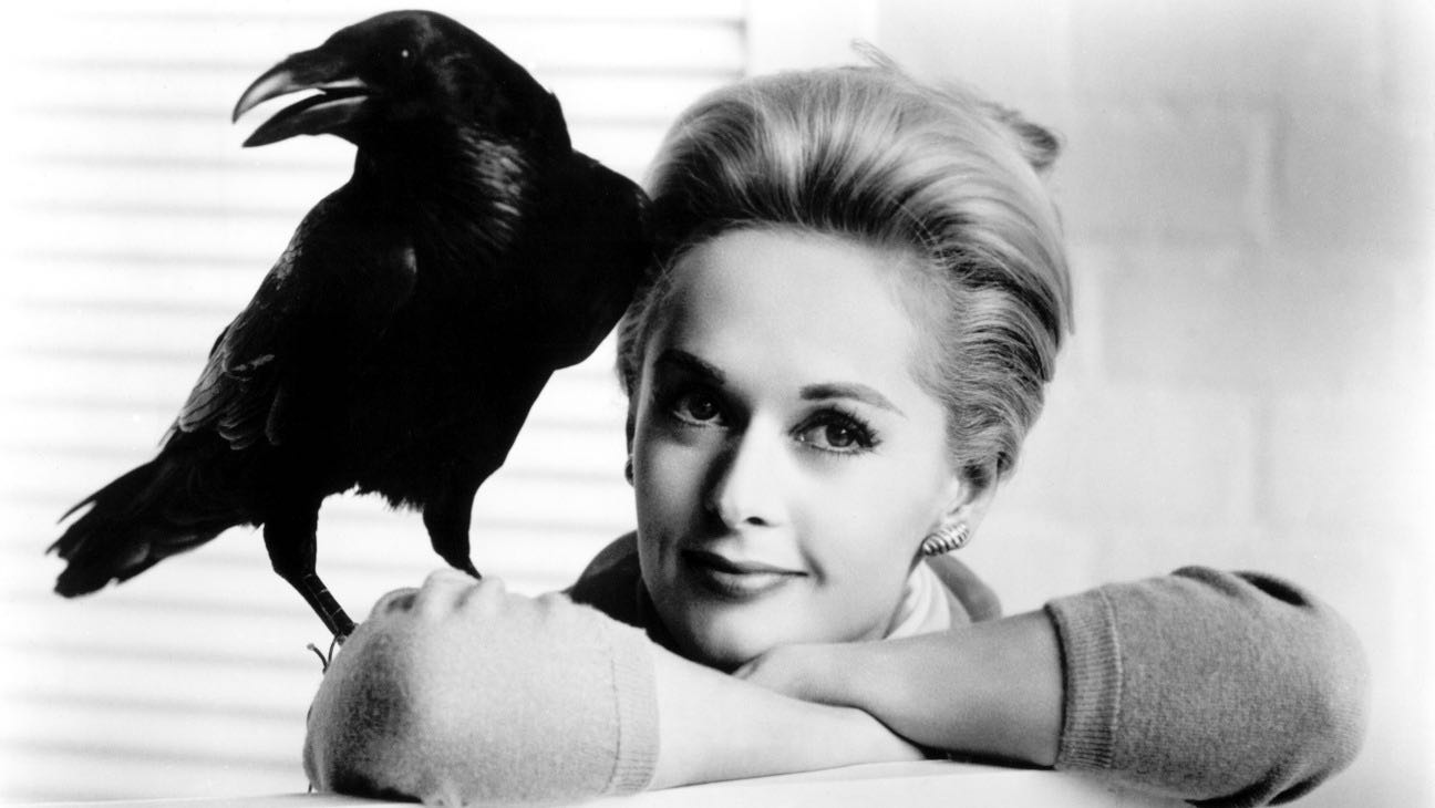 The Birds 4K Ultra HD movie collectible [Barcode 025192365164] - Main Image 3