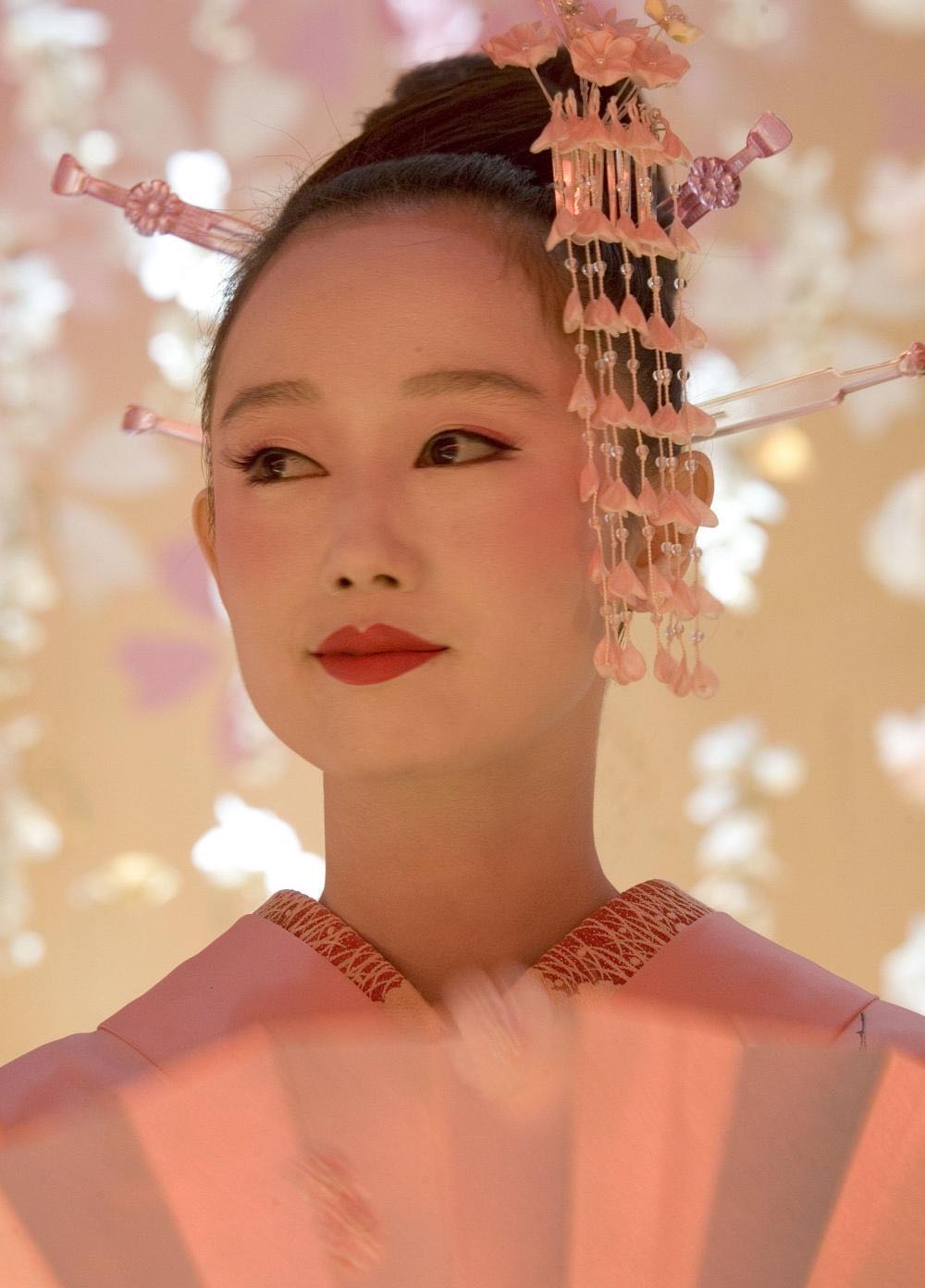 Memoirs Of A Geisha DVD movie collectible [Barcode 043396142411] - Main Image 3