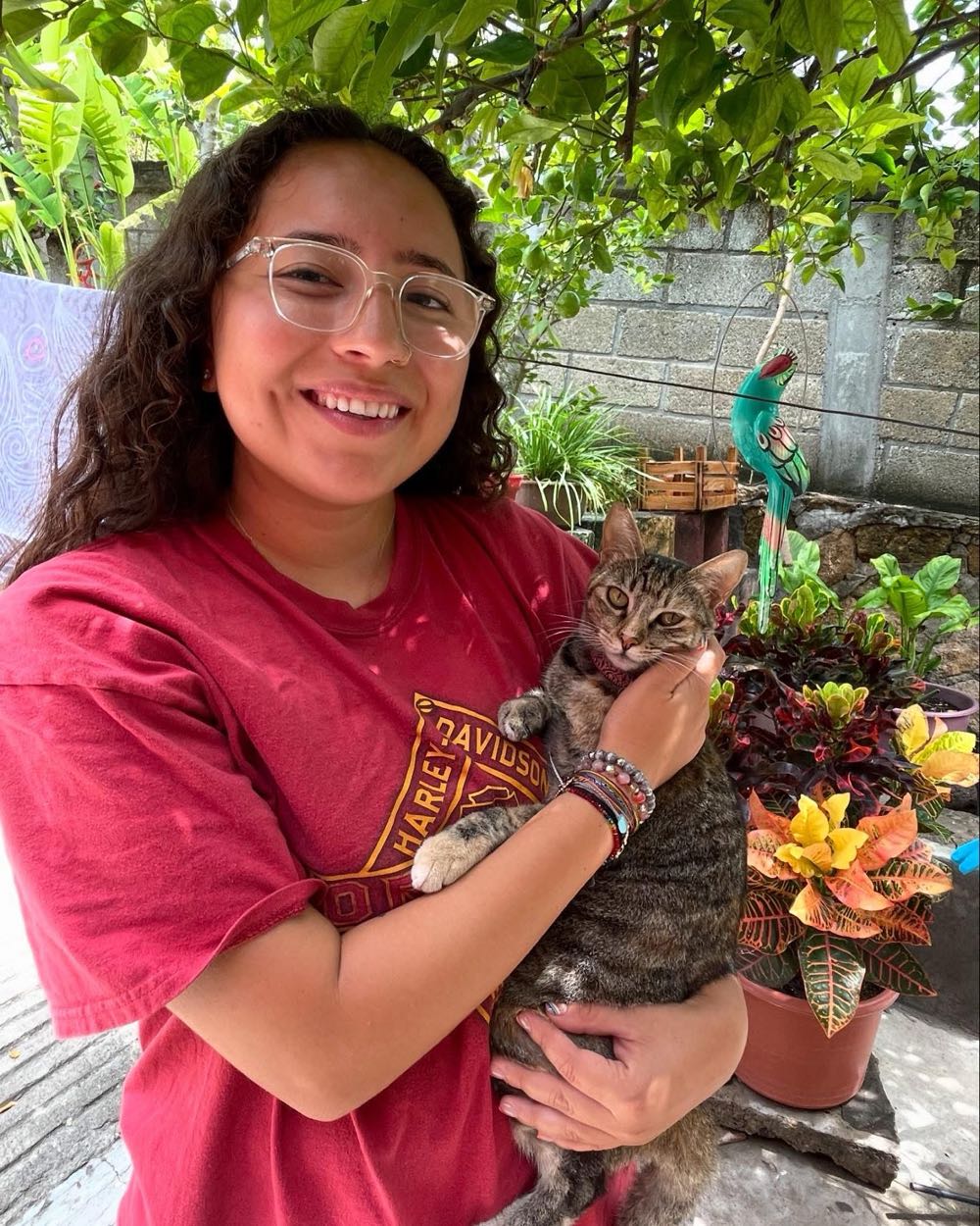 Body Heat DVD movie collectible [Barcode 085392000531] - Main Image 4