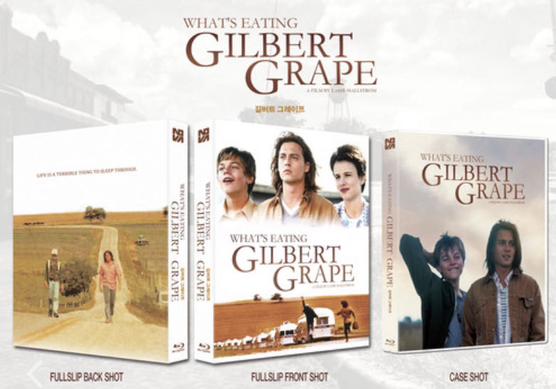 What’s Eating Gilbert Grape [DVD] DVD movie collectible [Barcode 097363295525] - Main Image 2