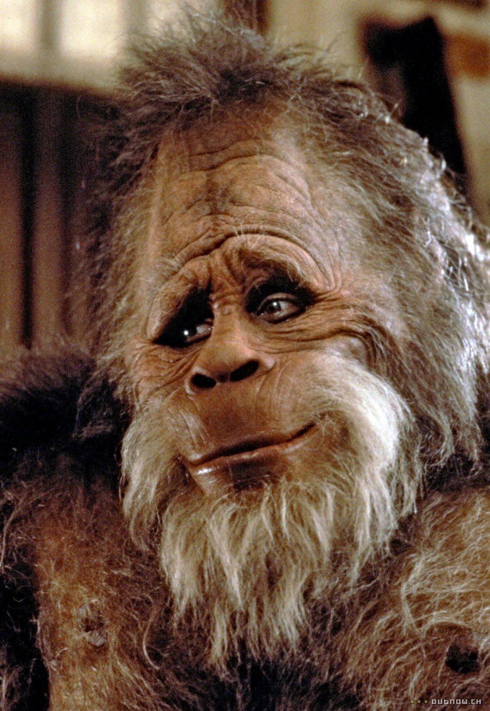 Harry and the Hendersons DVD-R movie collectible [Barcode 6035495003506] - Main Image 2