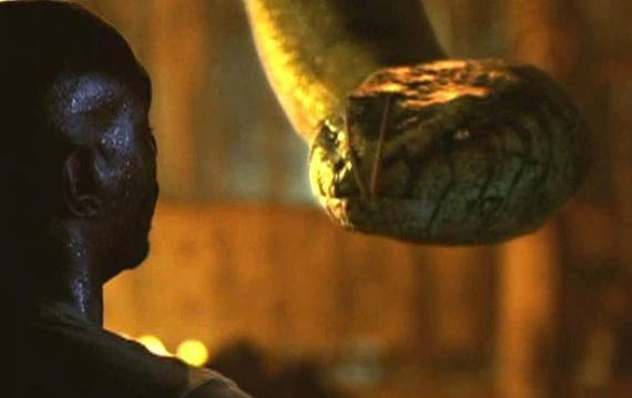 Anacondas: The Hunt for the Blood Orchid (DVD/UPC: Unknown) DVD movie collectible [Barcode 9035866621138] - Main Image 6