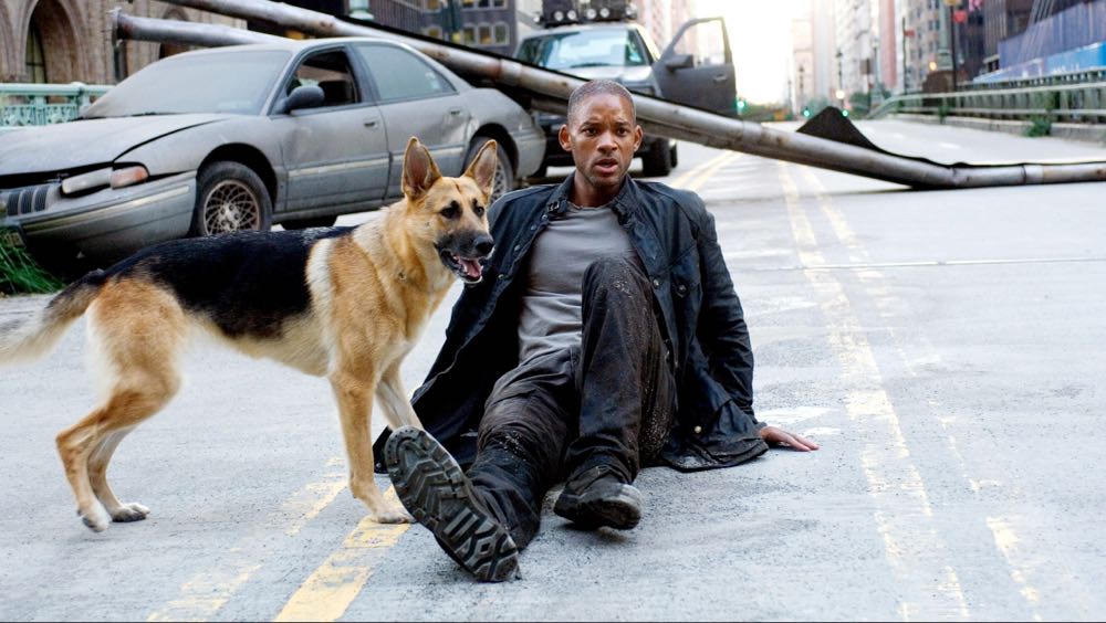 I Am Legend DVD movie collectible [Barcode 5051895021231] - Main Image 3