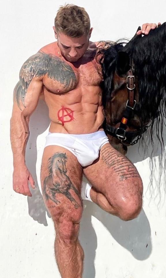 About Schmidt DVD movie collectible [Barcode 065935147527] - Main Image 4