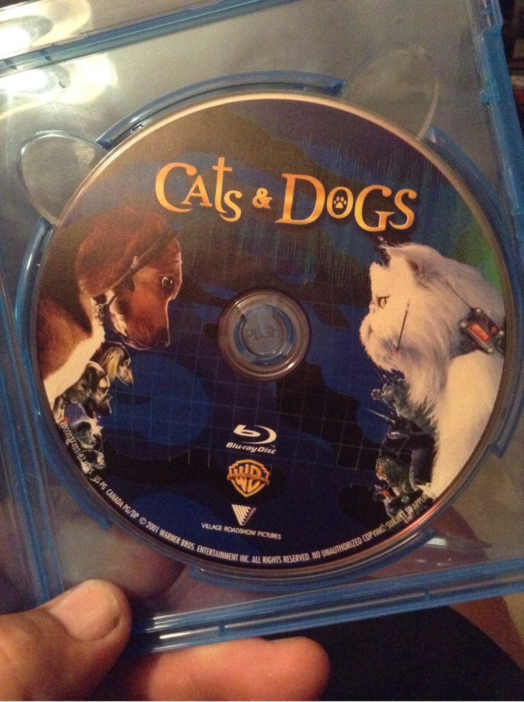 Book of Shadows: Blair Witch 2