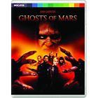 Barbie and the Magic of Pegasus