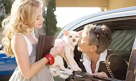 Beverly Hills Chihuahua 1 Blu-ray movie collectible [Barcode 786936769456] - Main Image 3