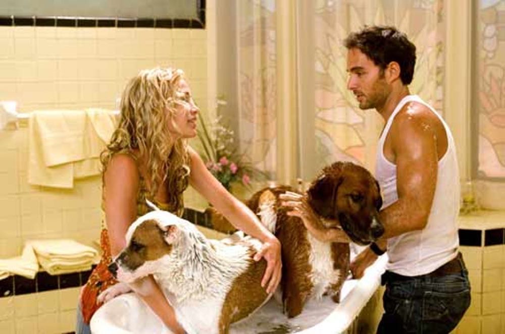 Beverly Hills Chihuahua 1 Blu-ray movie collectible [Barcode 786936769456] - Main Image 4