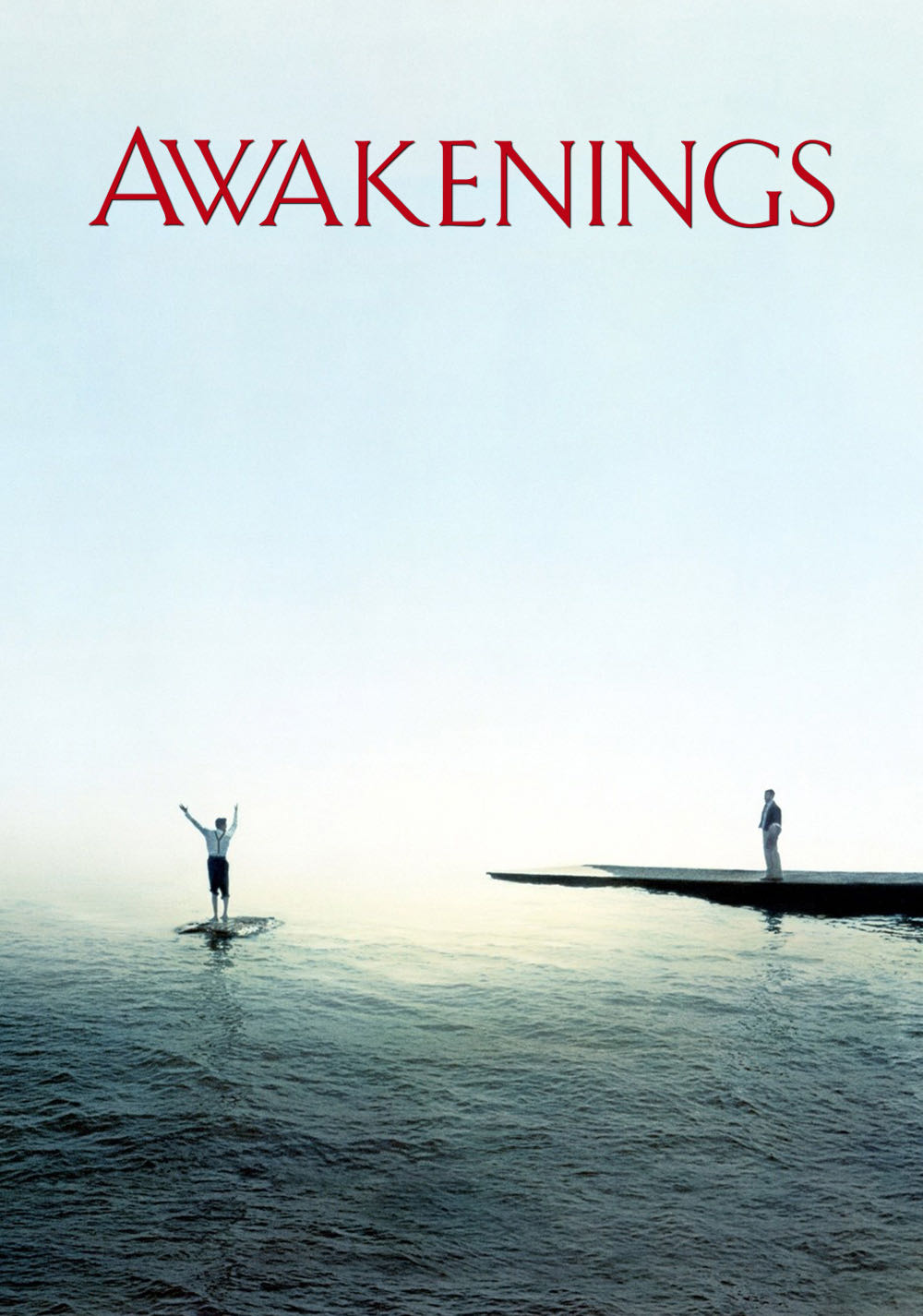 Awakenings  Blu-ray movie collectible [Barcode 014381699456] - Main Image 3