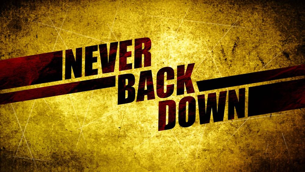 Never Back Down 1 DVD movie collectible [Barcode 025195043229] - Main Image 3