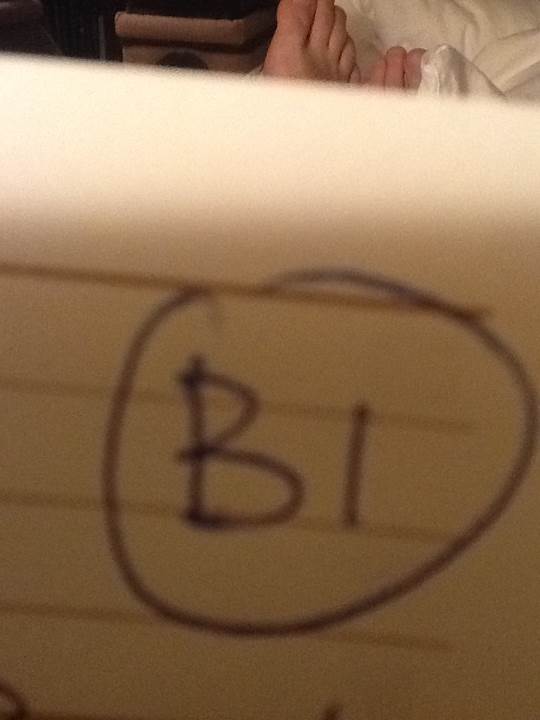 The Bounty DVD movie collectible [Barcode 9338683000224] - Main Image 2