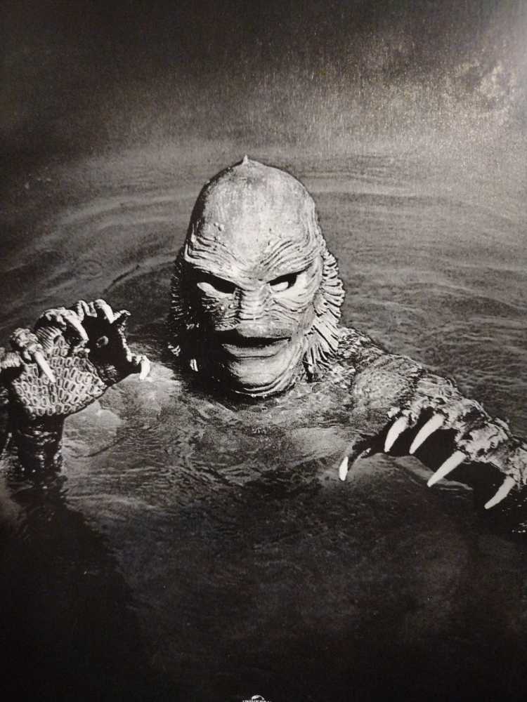 Creature From the Black Lagoon DVD movie collectible [Barcode 3259190324190] - Main Image 3