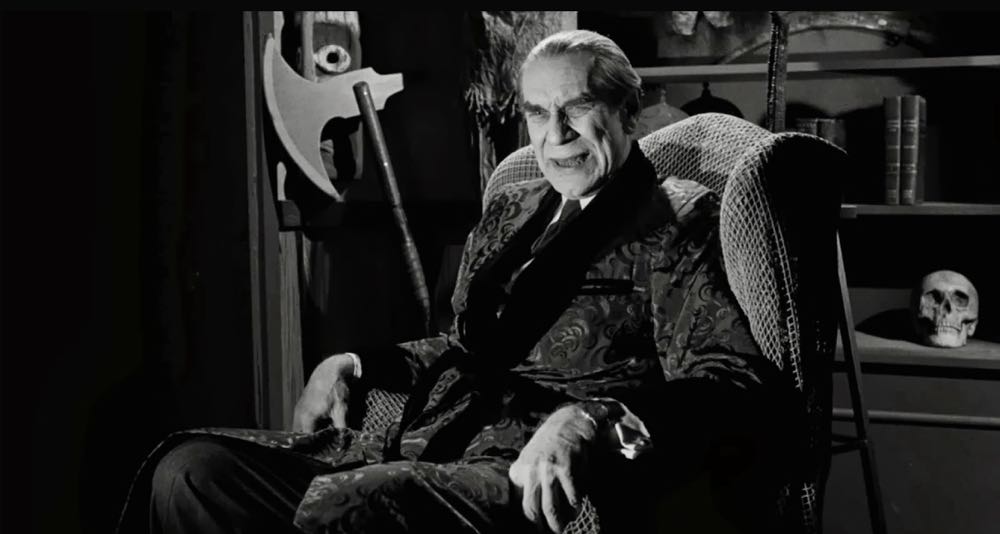 Ed Wood Digital Copy movie collectible [Barcode 0786936212501] - Main Image 4