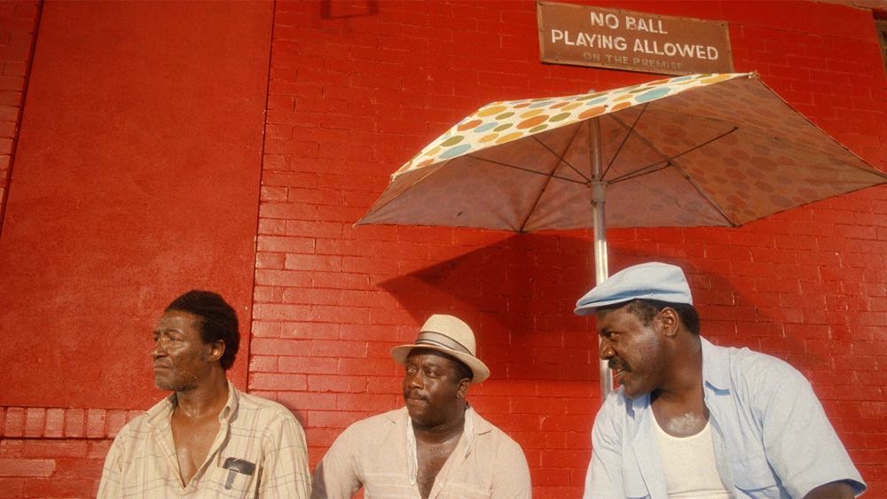 Naked Lunch Blu-ray movie collectible [Barcode 715515105019] - Main Image 4