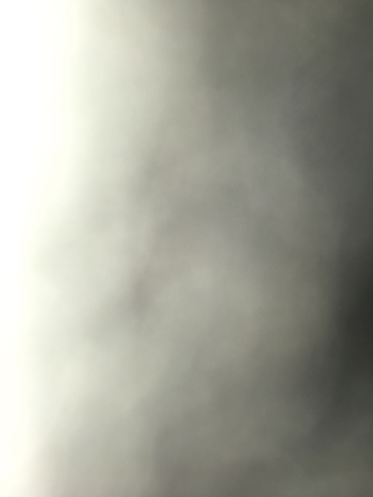 Wildcats DVD-R movie collectible - Main Image 1