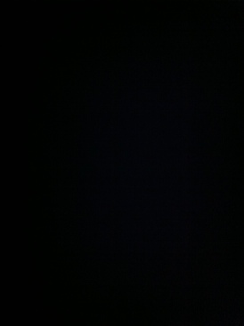 The Bourne Supremeacy