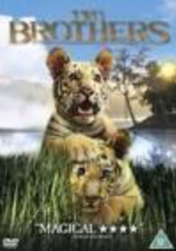 Midnight Cowboy (VF, 4:3)