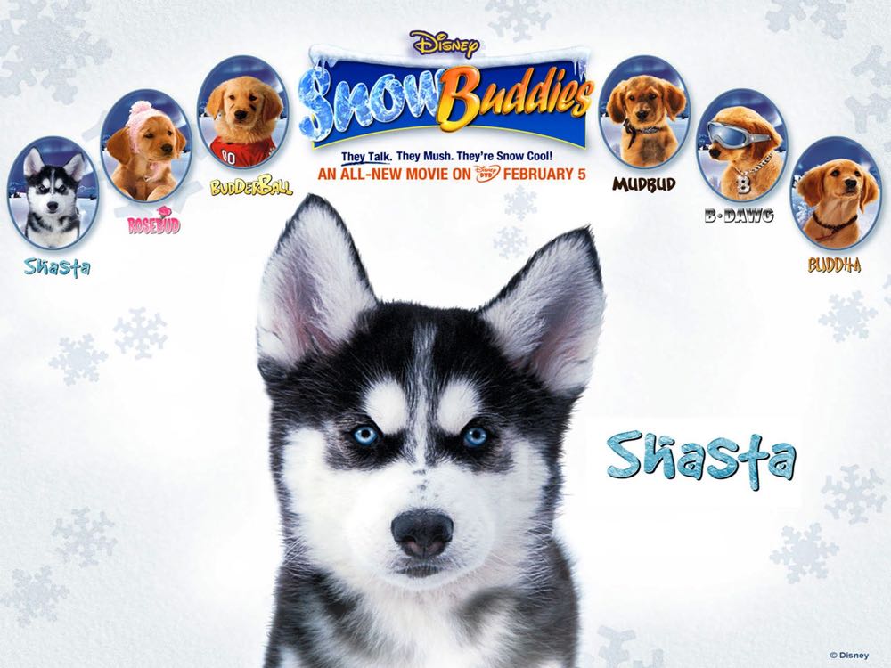 Snow Dogs DVD movie collectible [Barcode 9398521541036] - Main Image 3