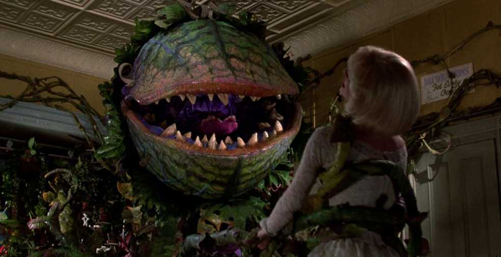 Little Shop of Horrors Blu-ray movie collectible [Barcode 5051892143219] - Main Image 4