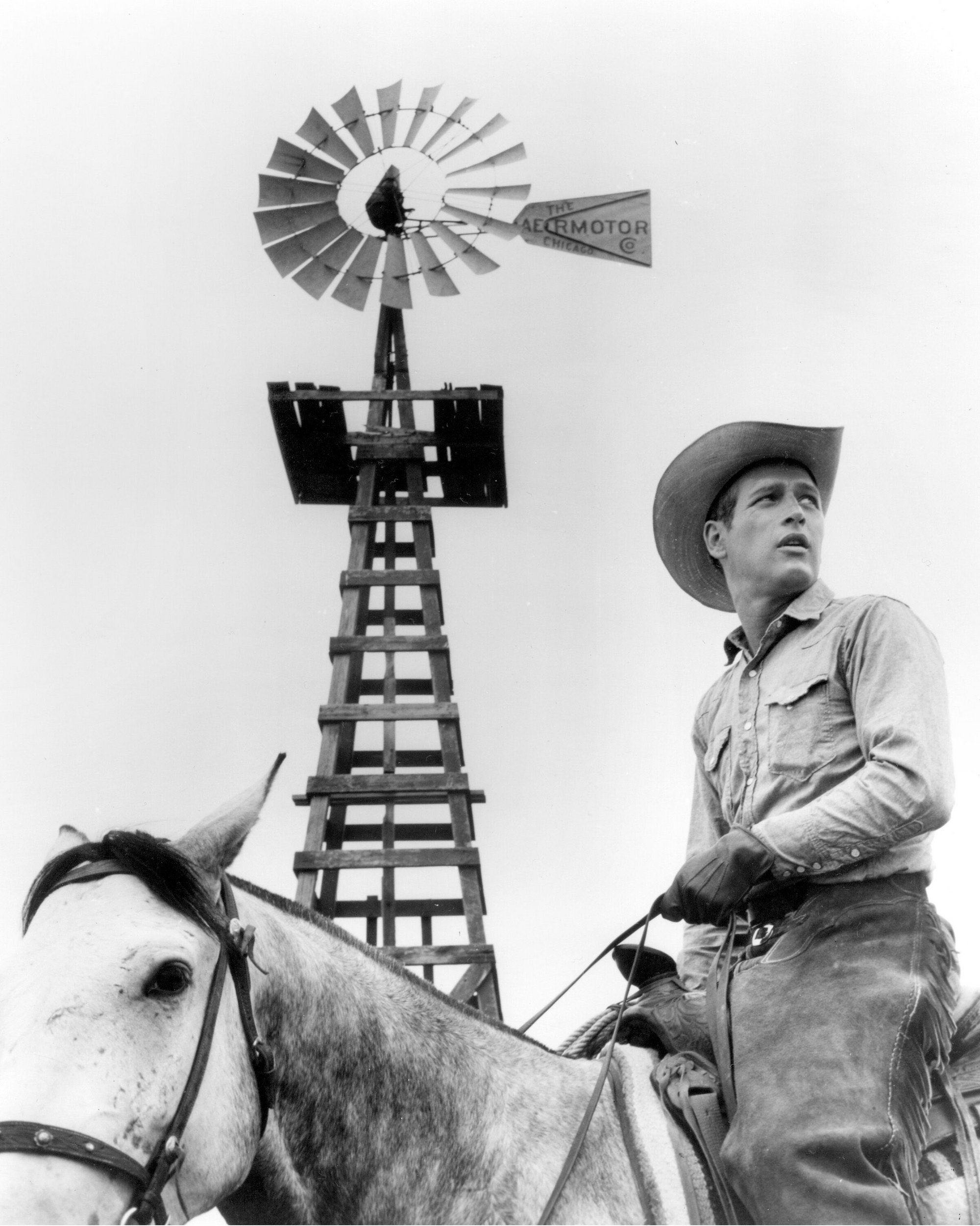 Hud DVD movie collectible [Barcode 097360663044] - Main Image 3