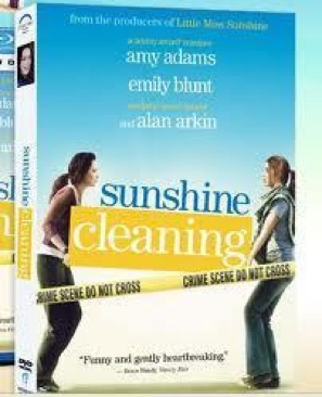 Sunshine Cleaning DVD movie collectible [Barcode 013132373690] - Main Image 1