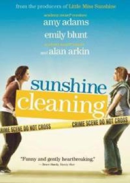 Sunshine Cleaning DVD movie collectible - Main Image 1