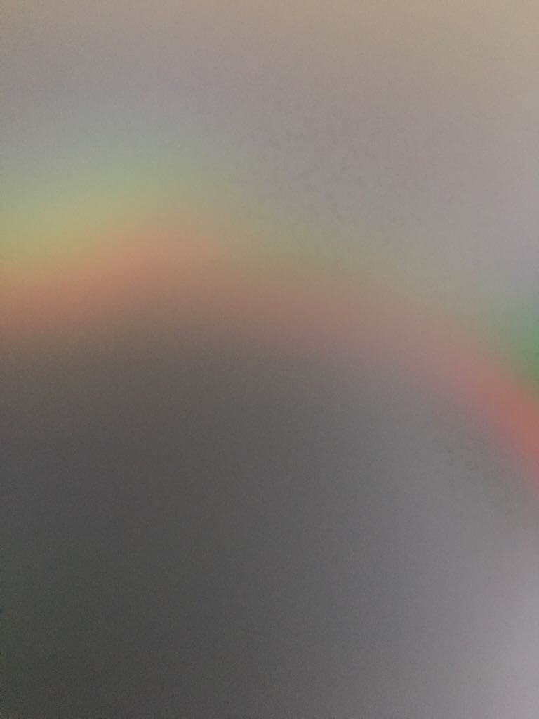 Natural World: Badgers